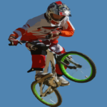pro mountain biker