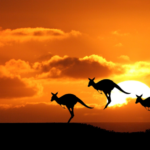 Australian Top 5 for Tourists